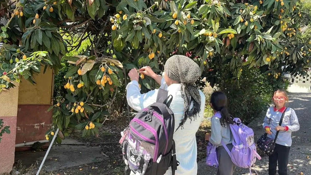Sosyal medyadan duyuru yapıp bedava dağıttı! Poşetini alan o adrese koştu!