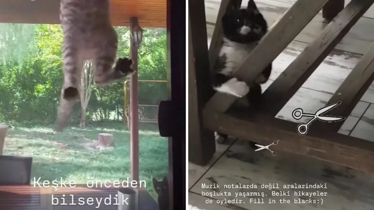 Taşacak Bu Deniz dizisinin çatışma sahneleri kesilmişti! Senaristlerden imalı paylaşım geldi