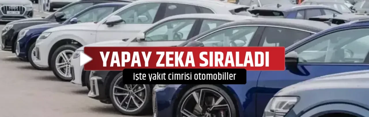 YAPAY ZEKA SIRALADI