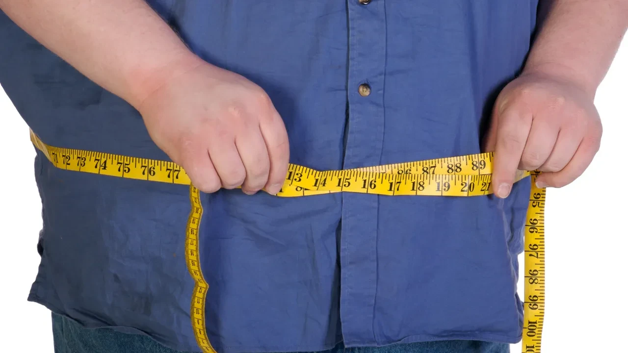 İbn Sina’nın yüzyıllar önce önerdiği beslenme düzeni yeniden gündemde! Yavaş ama kalıcı zayıflama