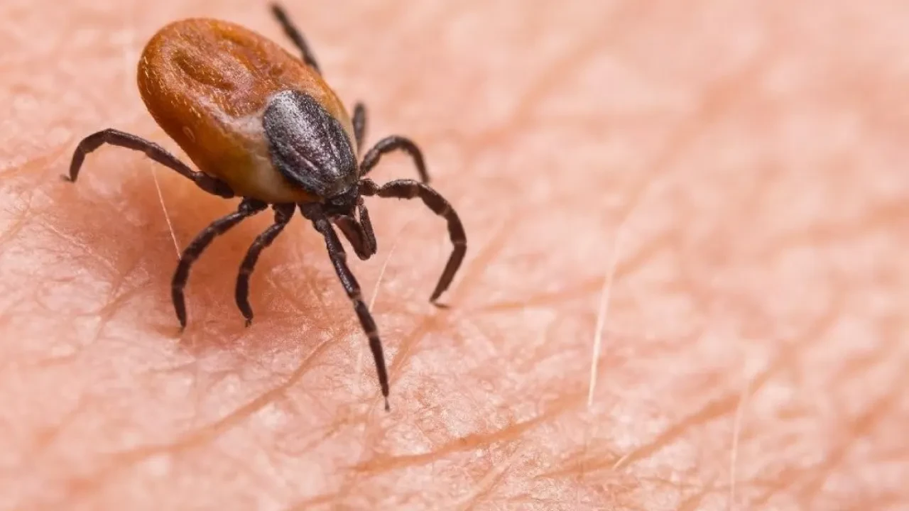 Kene kabusu erken başladı! 21 yaşındaki genç KKKA kurbanı oldu