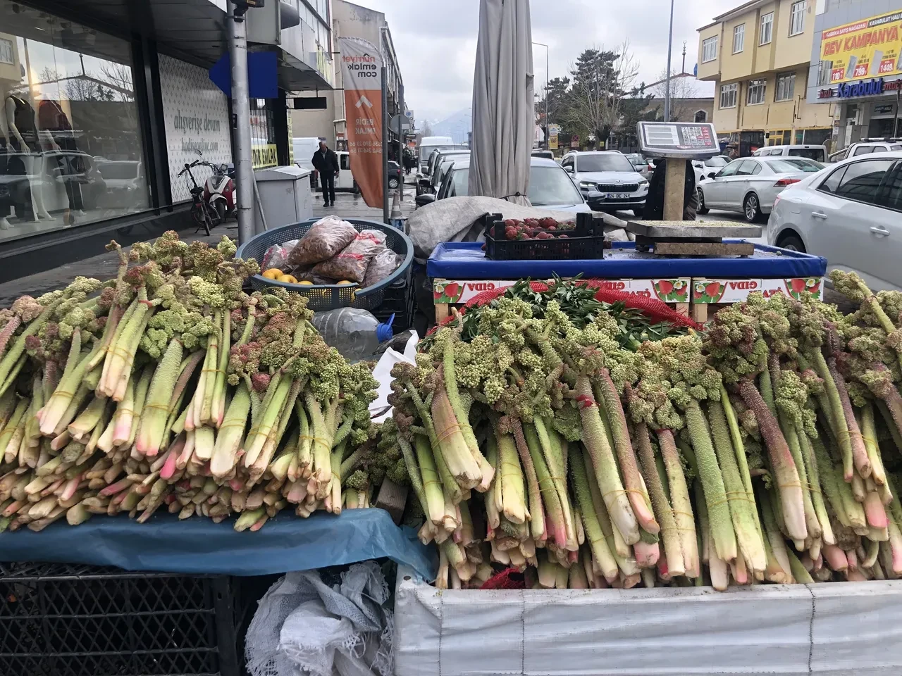 Yaylada 3000 rakımda yetişiyor, pazarda 300 TL’ye satılıyor: Vitamin deposunu sadece bilen alıyor