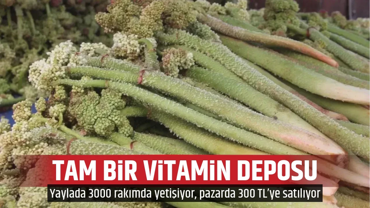 TAM BİR VİTAMİN DEPOSU