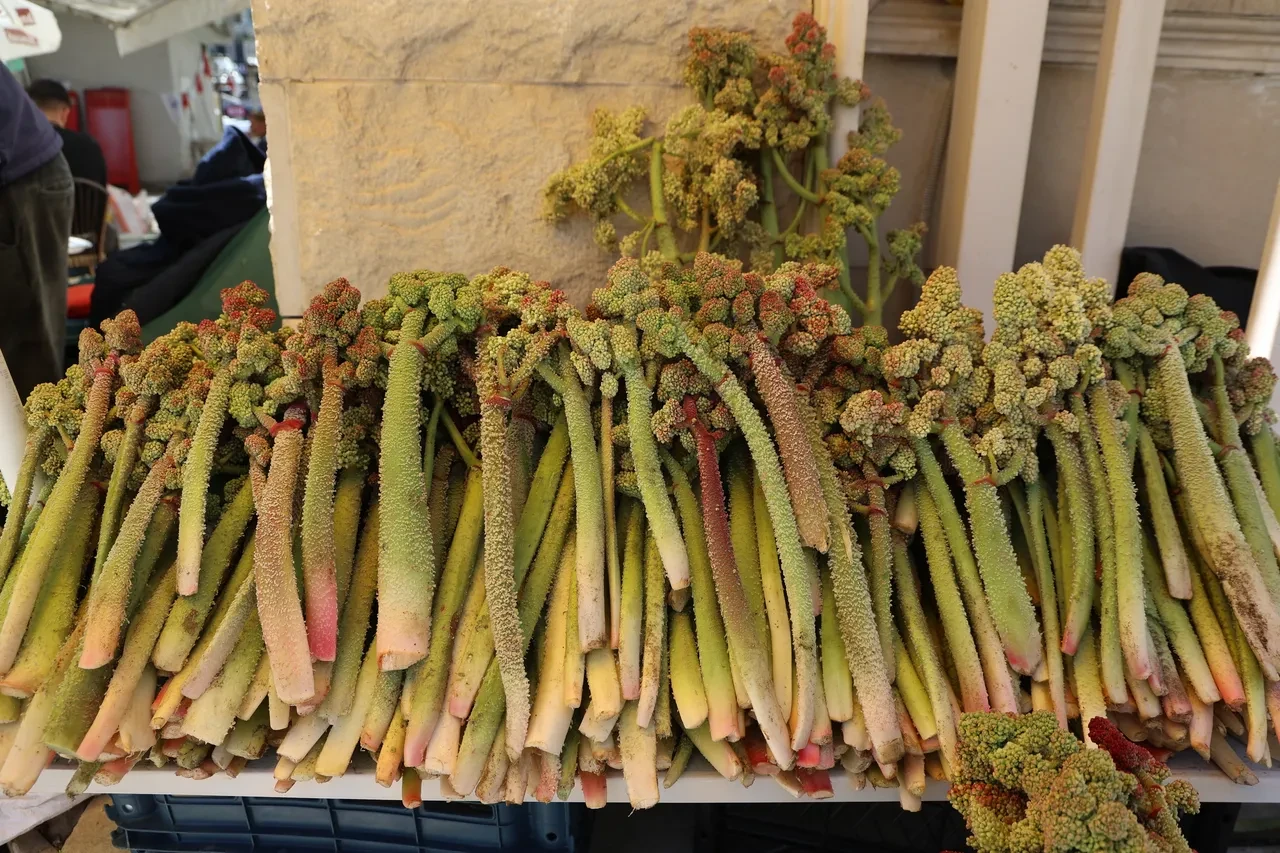 Kilosu 750 TL'den başladı şimdi 400 TL! Tam bir vitamin deposu: Toplaması dünyanın en zor işi