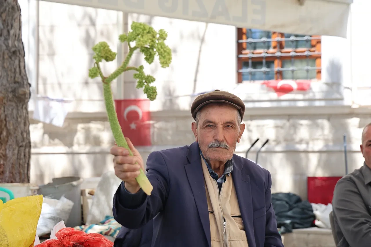 Kilosu 750 TL'den başladı şimdi 400 TL! Tam bir vitamin deposu: Toplaması dünyanın en zor işi