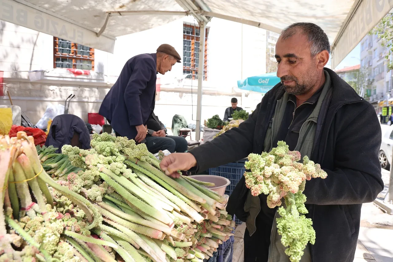 Kilosu 750 TL'den başladı şimdi 400 TL! Tam bir vitamin deposu: Toplaması dünyanın en zor işi