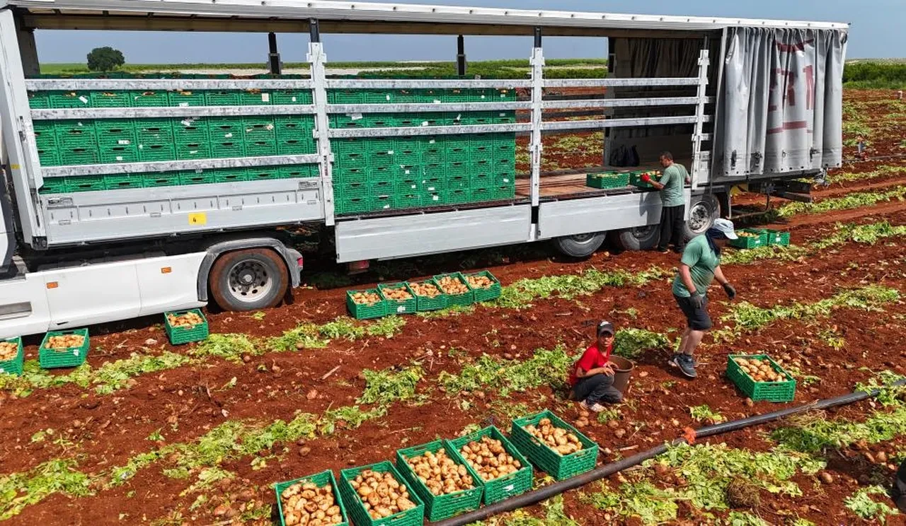 Sarı altında rakamlar uçtu! 'İnşallah bu fiyatlar gerilemez'