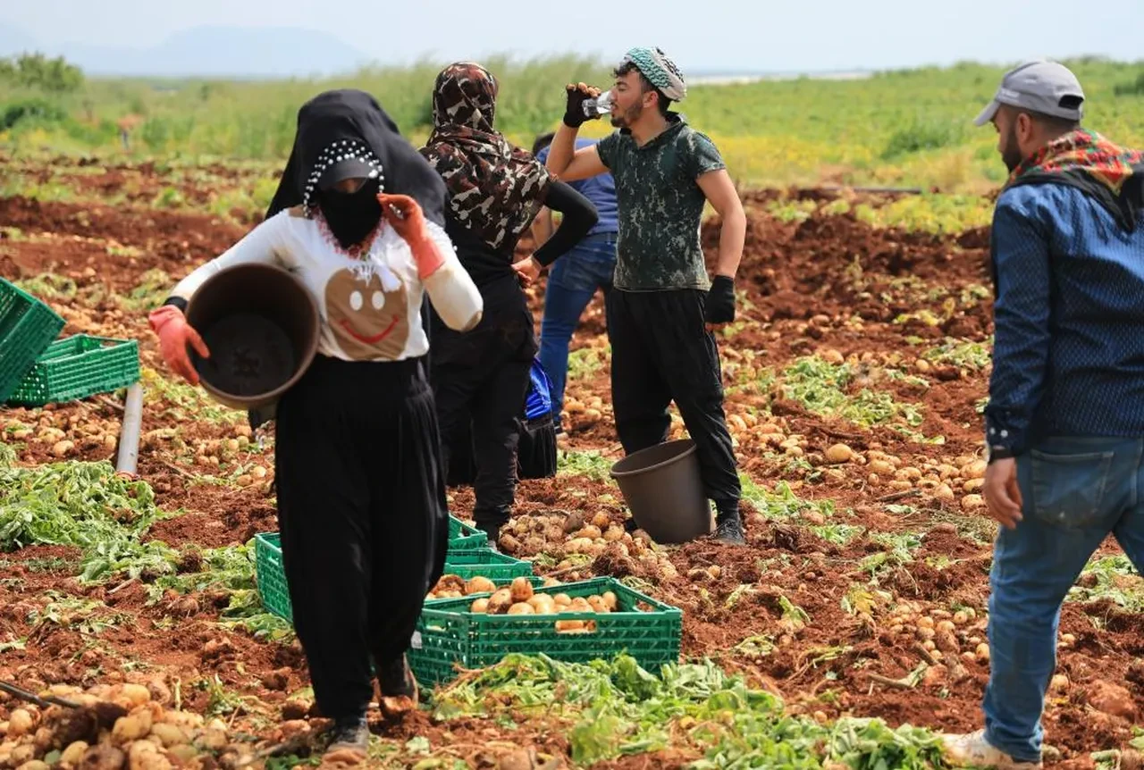 Sarı altında rakamlar uçtu! 'İnşallah bu fiyatlar gerilemez'