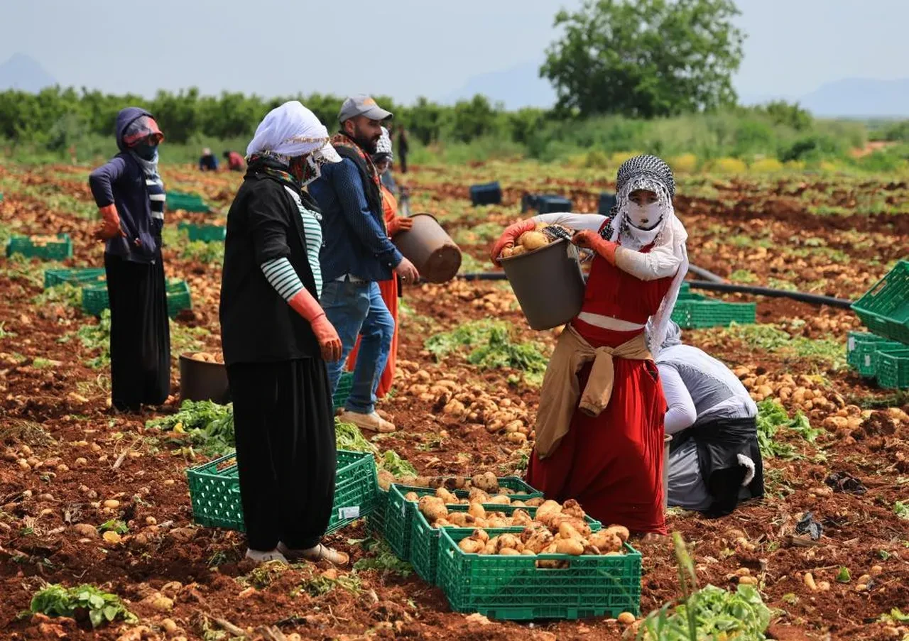 Sarı altında rakamlar uçtu! 'İnşallah bu fiyatlar gerilemez'