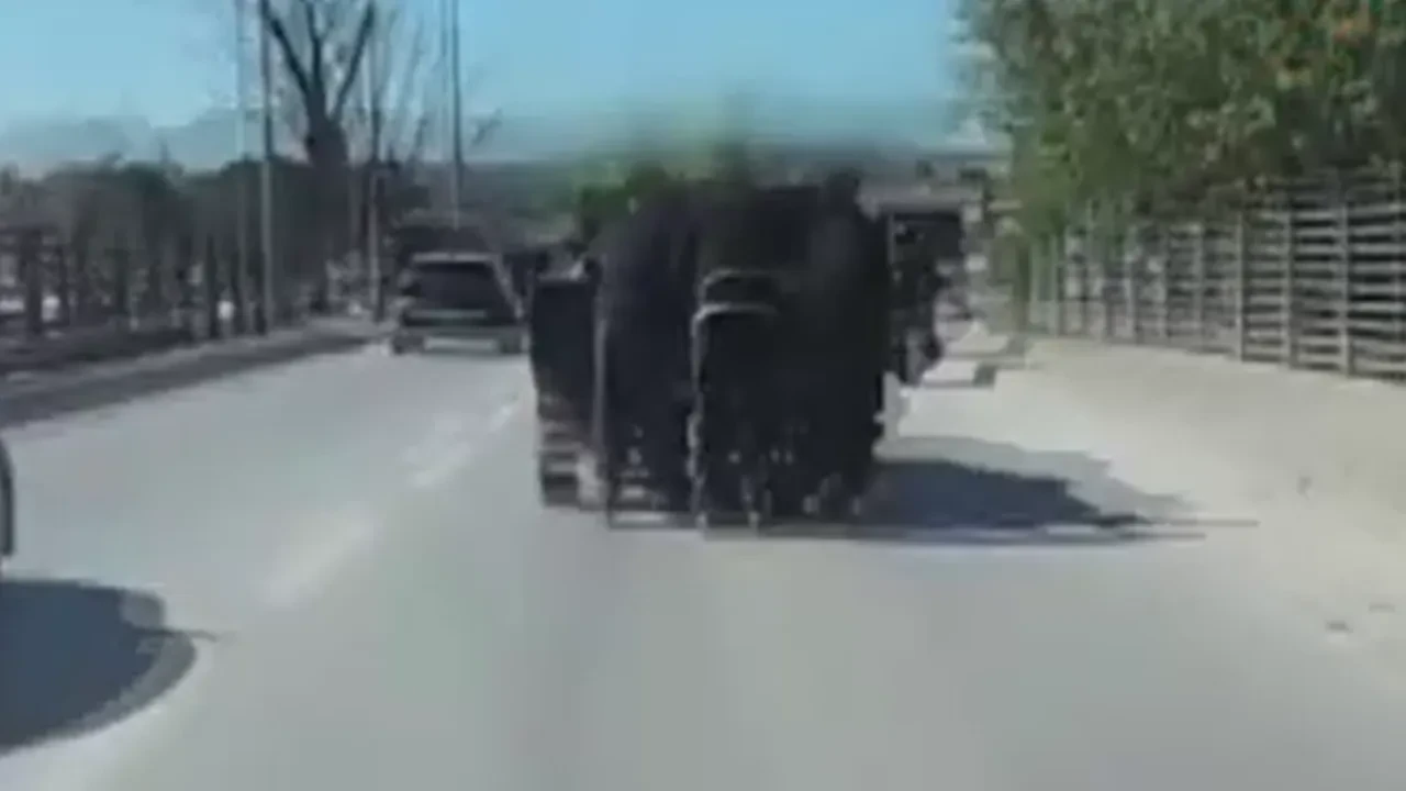 Tehlikeli anlar! Patenli gençler kamyonetle böyle ilerledi