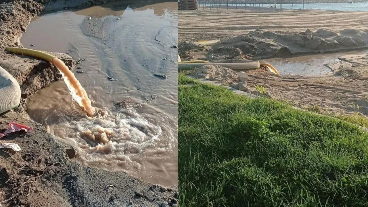 Burhaniye'de doğa katliamı! Pis suları denize akıttılar