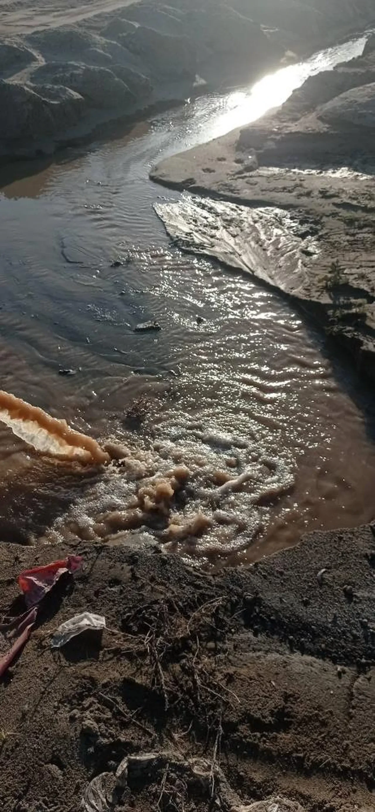 Burhaniye'de doğa katliamı! Pis suları denize akıttılar