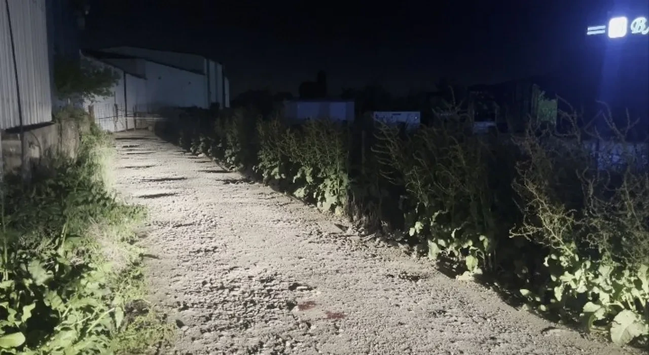 Bursa'da silahlı pusu: Genç avukat öldü ablası yaralandı