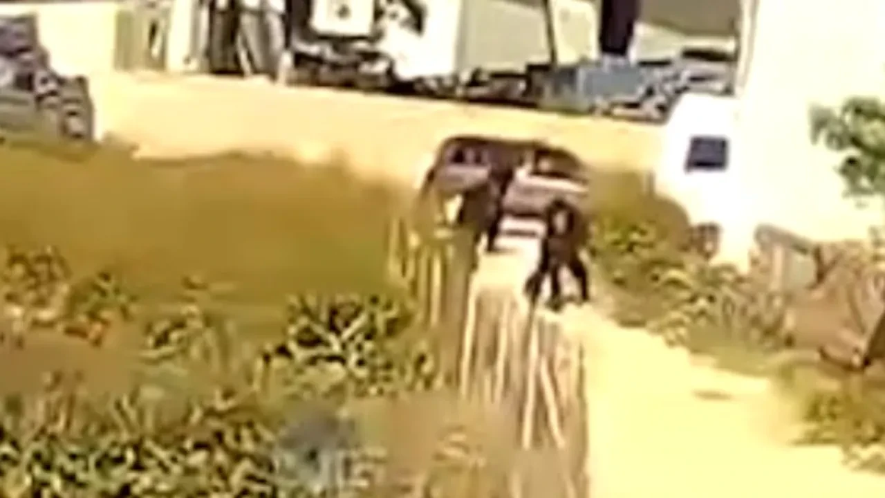 Bursa'daki meyve kasası cinayetinin görüntüsü ortaya çıktı! Genç kadın avukatı böyle vurdular