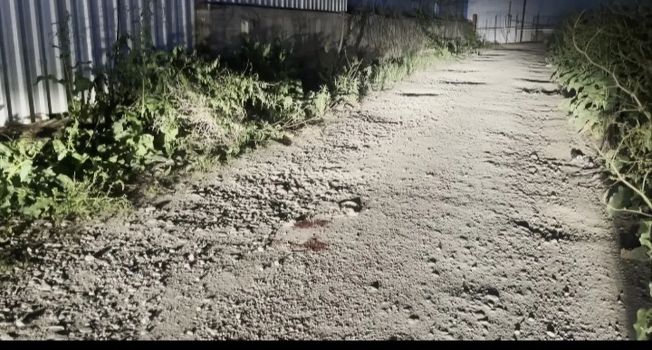 İki kardeşin dehşet anları! Bir öldü, diğeri kanlar içinde kaldı: Vahşetin nedeni ortaya çıktı