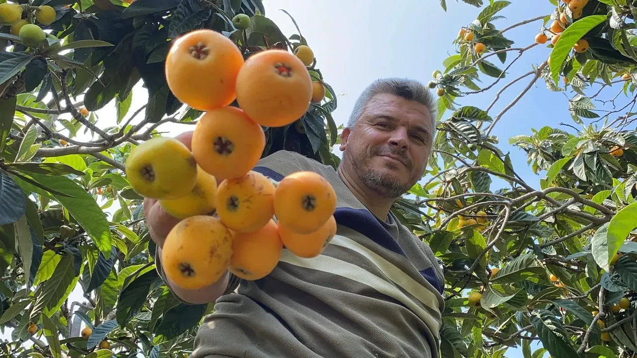 Sarı altın dalından indi! Yurt dışından talep yağıyor, değeri belli oldu