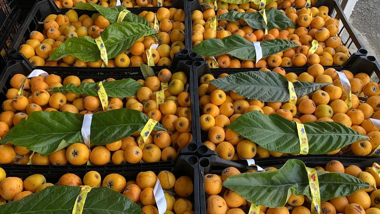 Sarı altın dalından indi! Yurt dışından talep yağıyor, değeri belli oldu