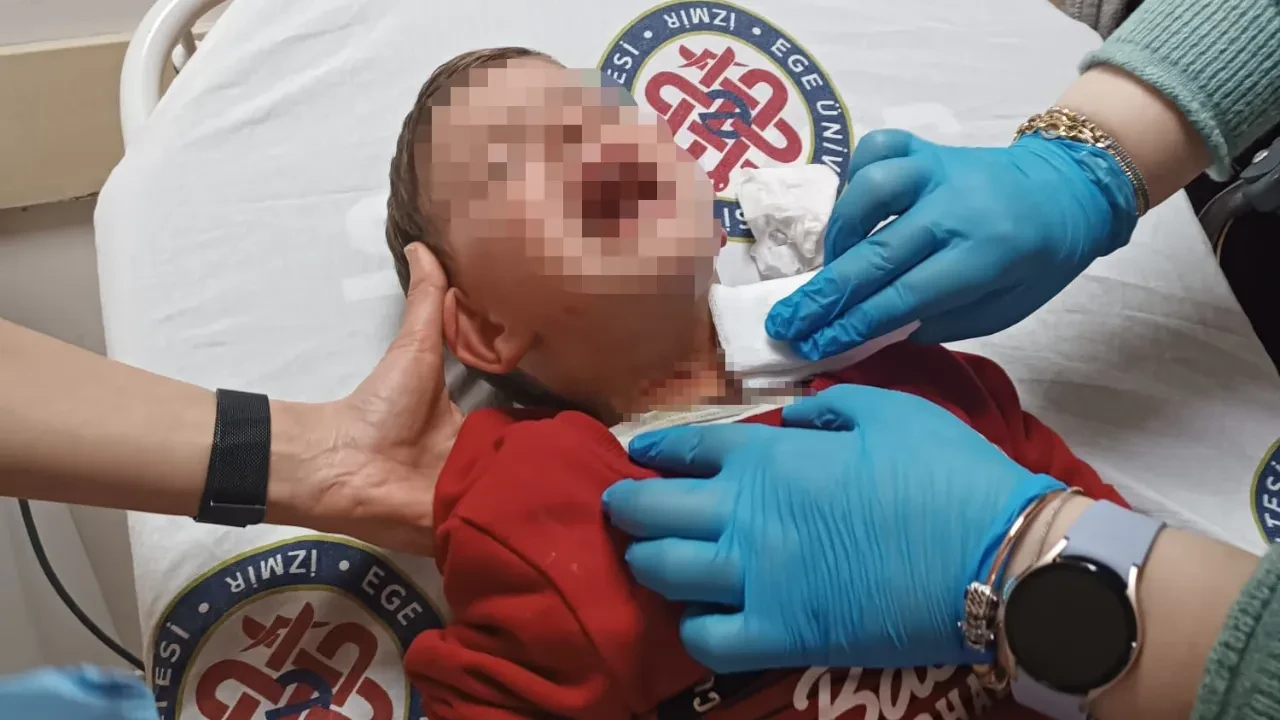 2 yaşındaki çocuğa bıçakla saldırdı! İzmir'de kan donduran olay