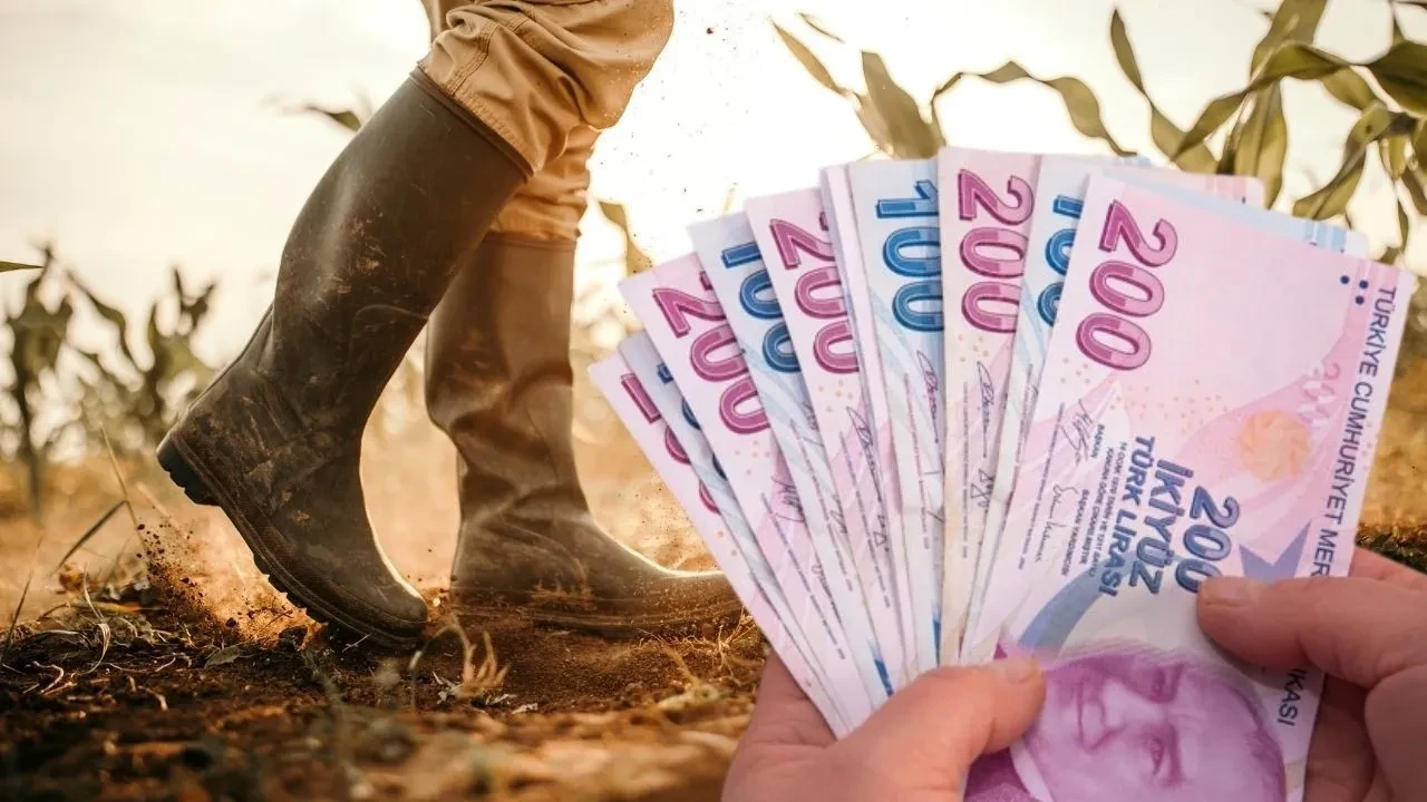 Kuraklıktan etkilenen çiftçilere müjde: Zararı devlet karşılayacak