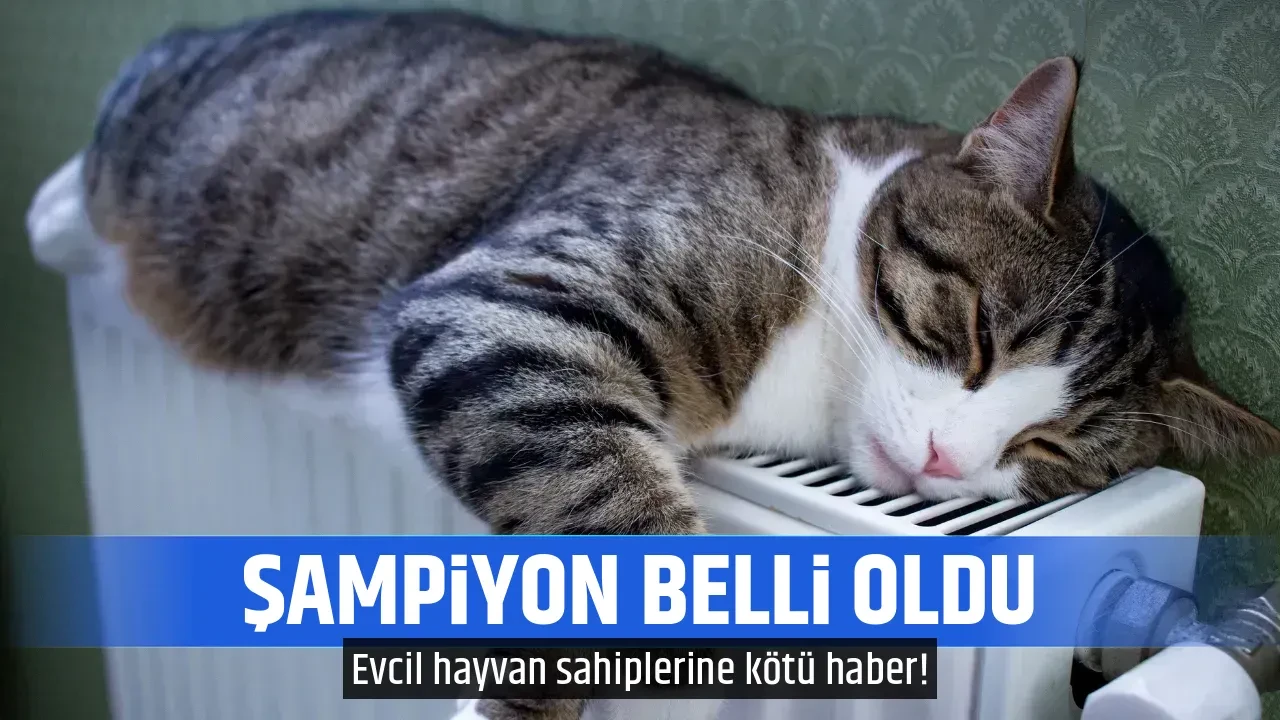 ŞAMPİYON BELLİ OLDU