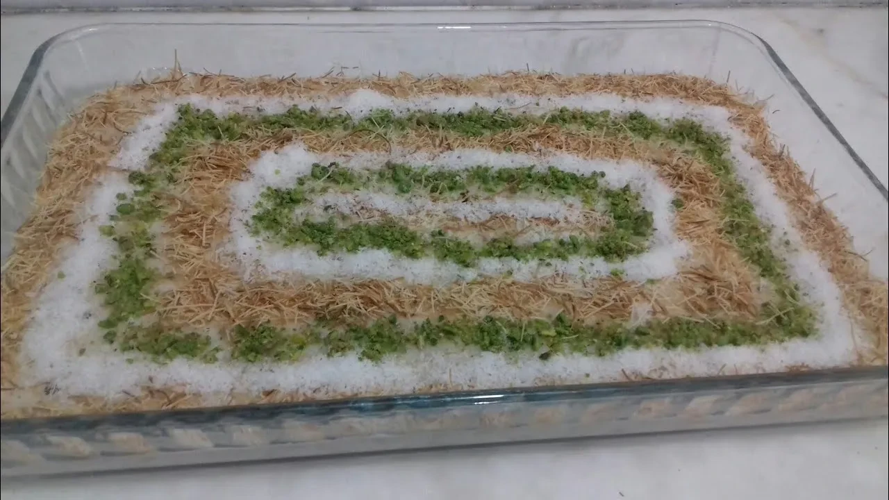 Gelinim Mutfakta Telli Gelin Tatlısı nasıl yapılır? Çıtır çıtır kadayıfın sırrı bu püf noktasında