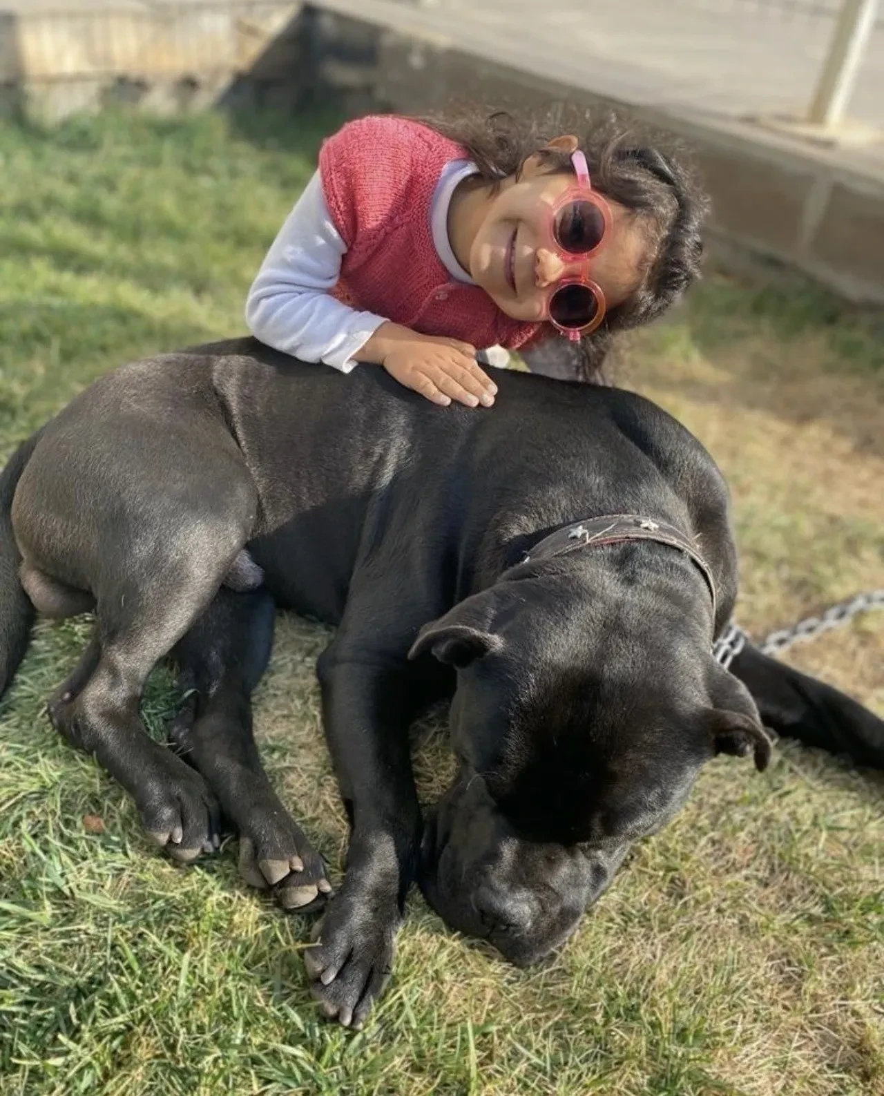 Küçük Asiye pitbull saldırısında ağır yaralanmıştı! Pişmanlık bile göstermediler, cezaları belli oldu