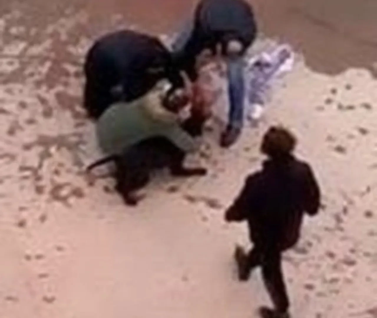 Küçük Asiye pitbull saldırısında ağır yaralanmıştı! Pişmanlık bile göstermediler, cezaları belli oldu