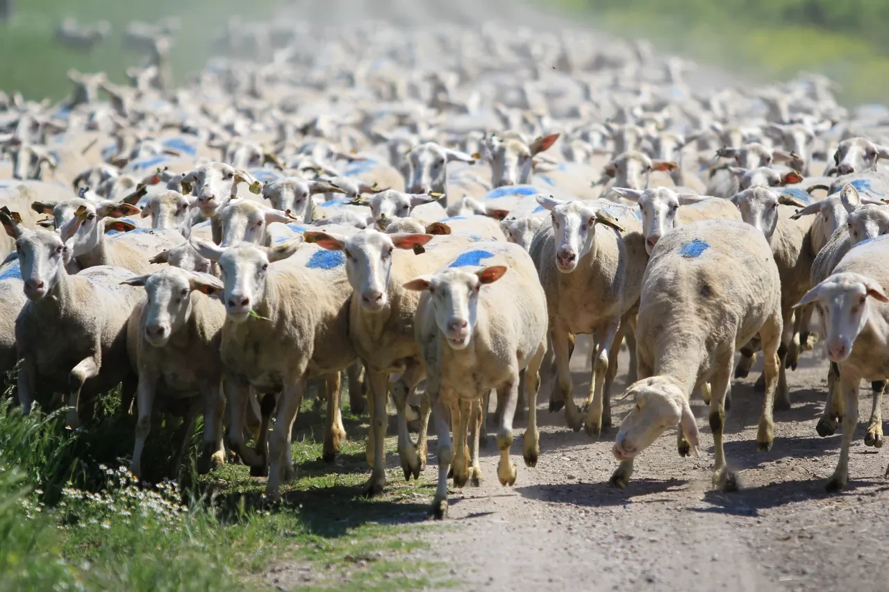 Bugün son gün! Bakanlık desteğini kaçırmamak için acele edin