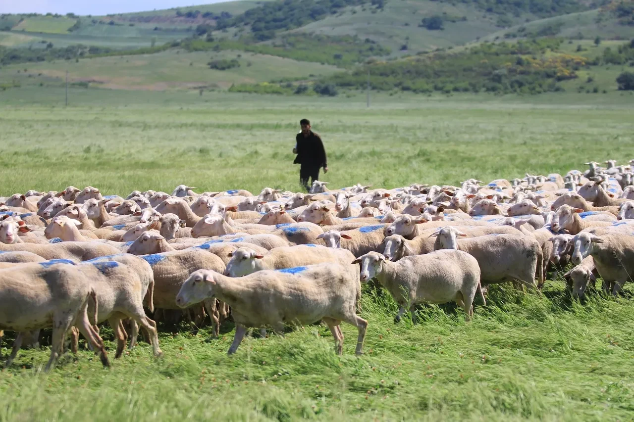 Bugün son gün! Bakanlık desteğini kaçırmamak için acele edin