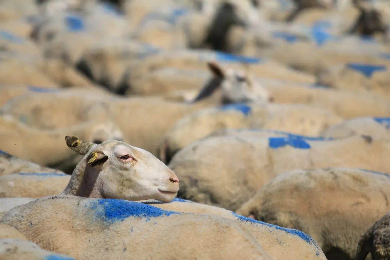 Bugün son gün! Bakanlık desteğini kaçırmamak için acele edin