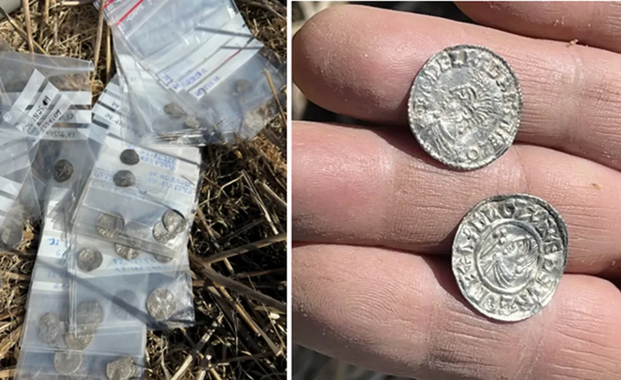 Eşi benzeri görülmemiş keşif adeta gümüş fışkırdı! Arkeoloji dünyasını şaşırttı: Viking Çağı'nın gizli hazinesi bulundu