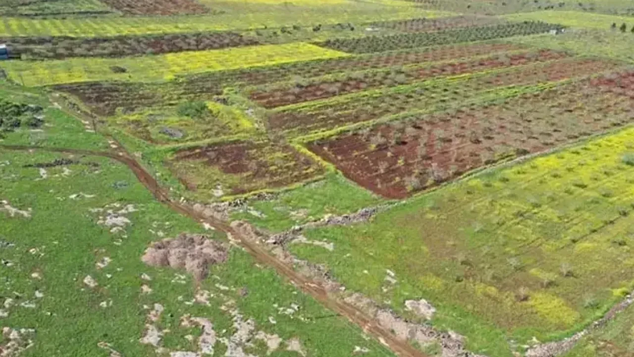 Gözlerini 2 ilçeye diktiler! Japonlar ve Çinliler senelerce kazı yapacak: 'Ne kadar sürerse sürsün'