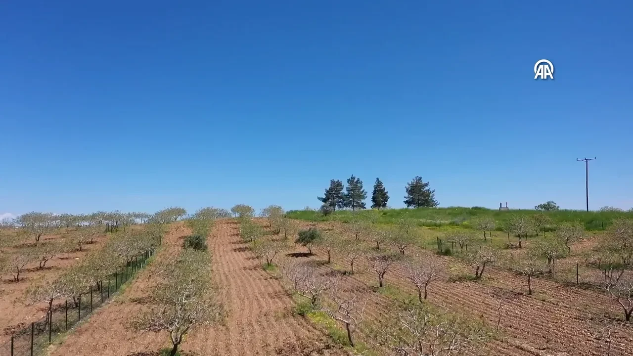 Gözlerini 2 ilçeye diktiler! Japonlar ve Çinliler senelerce kazı yapacak: 'Ne kadar sürerse sürsün'