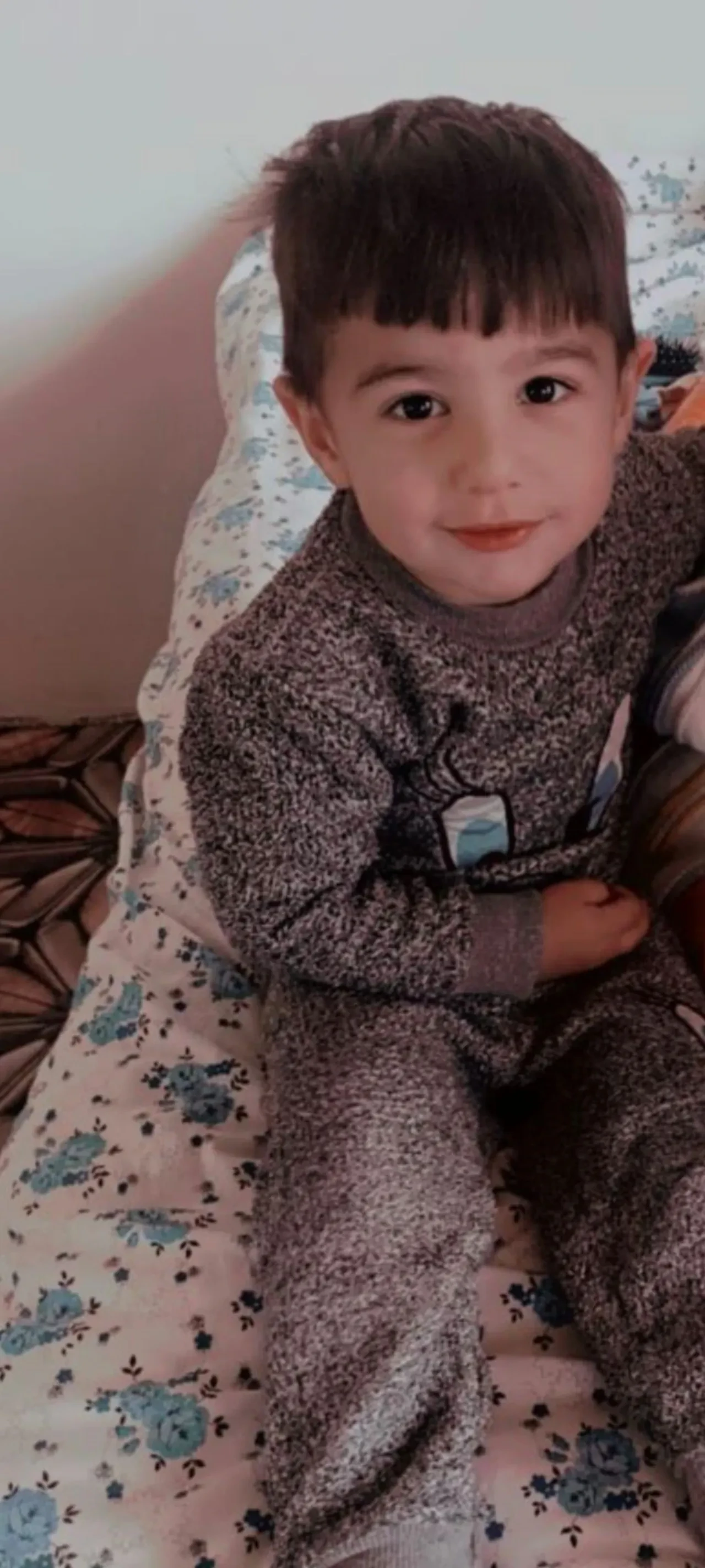 İçişleri Bakanı Çiftçi’den Van’daki köpek saldırısına ilişkin açıklama: İhmal ve kusuru bulunanlar hakkında süreçler titizlikle yürütülecek