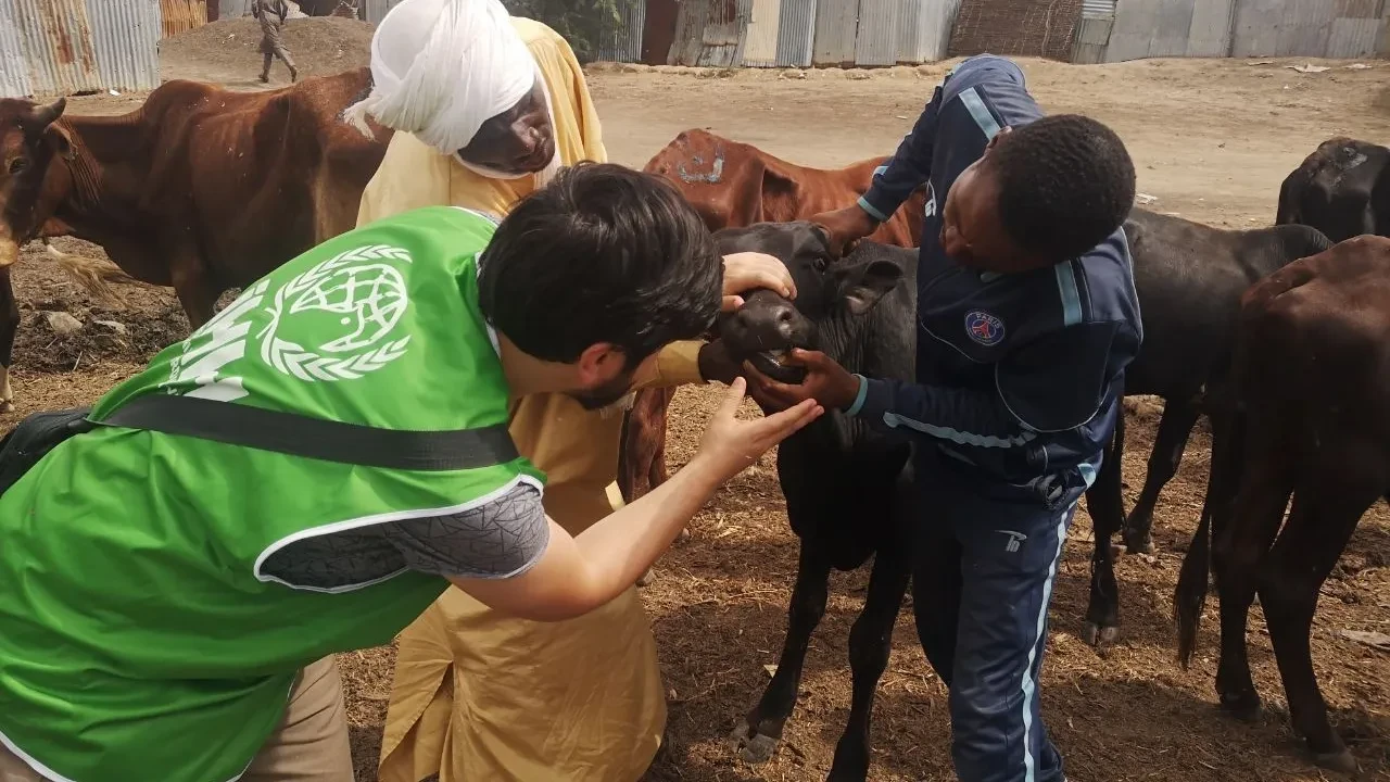 İHH, bu yıl 61 ülkede 3,5 milyon kişiye kurban ulaştırmayı hedefliyor