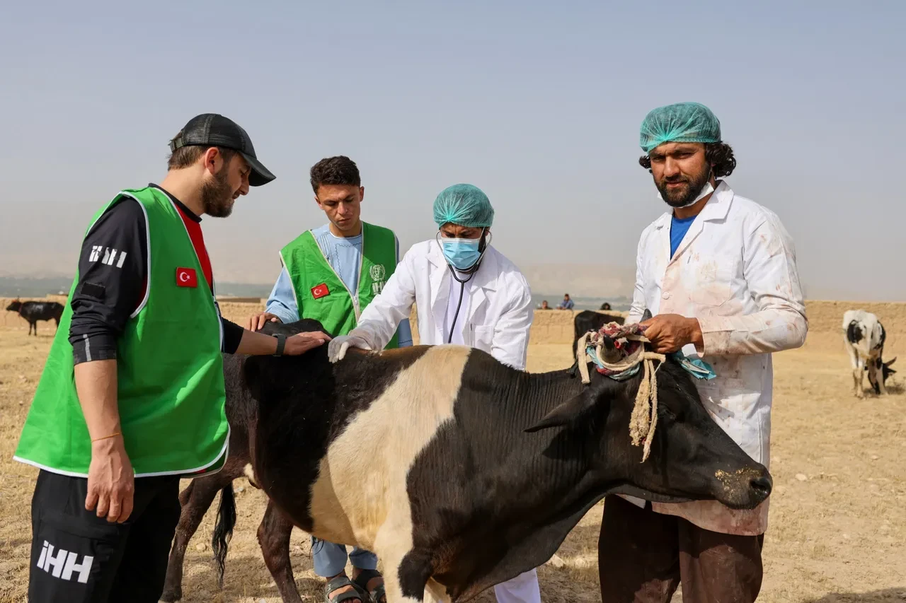 İHH, bu yıl 61 ülkede 3,5 milyon kişiye kurban ulaştırmayı hedefliyor