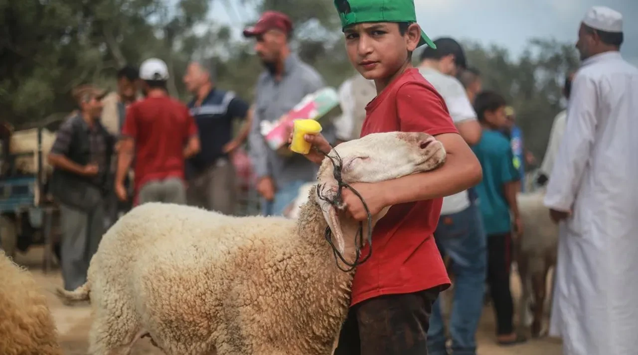 Kızılay’dan küresel kurban seferberliği: Gazze için özel model devrede!