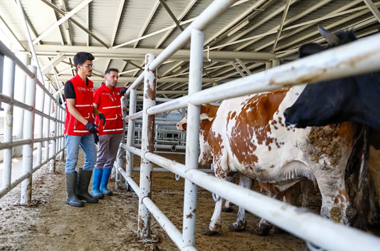 Kızılay’dan küresel kurban seferberliği: Gazze için özel model devrede!