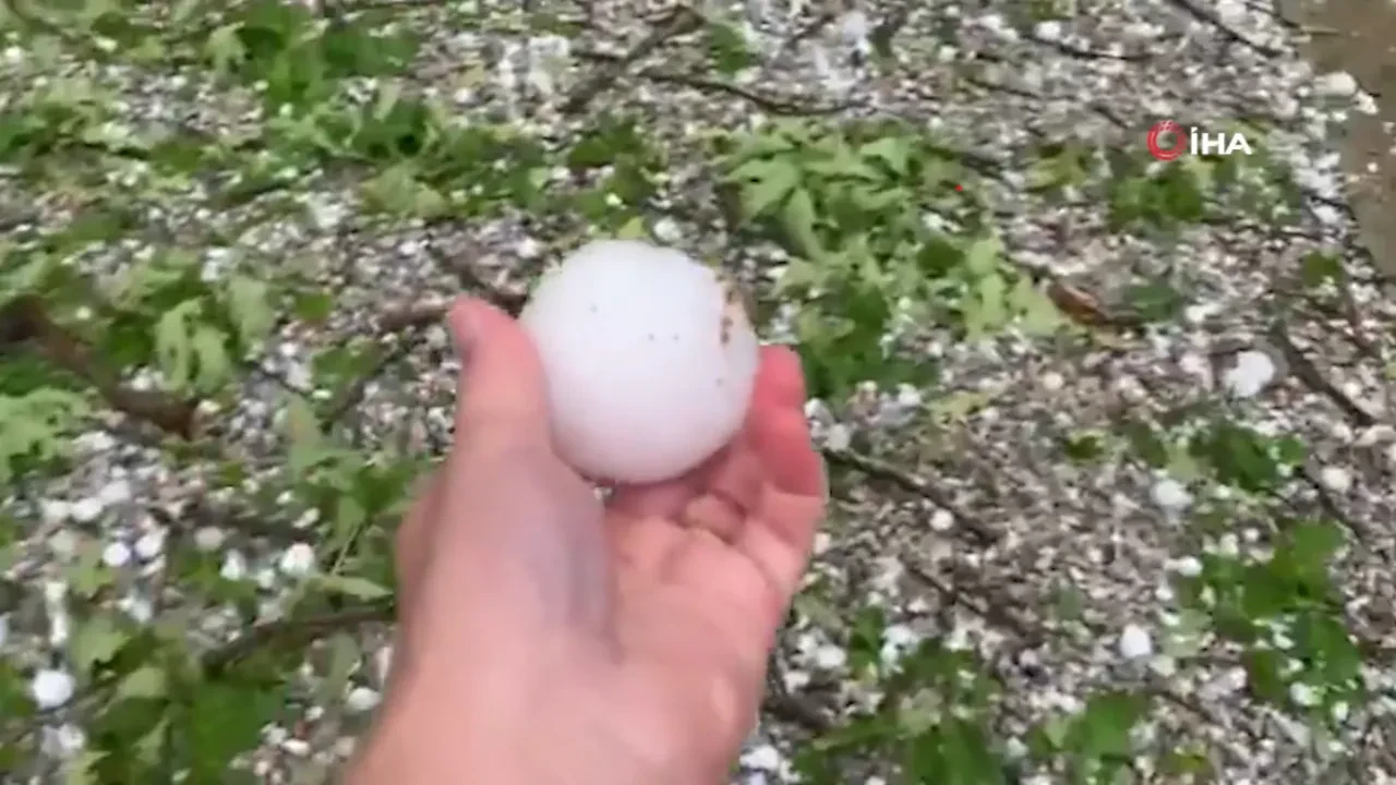 Tenis topu büyüklüğünde yağan dolu hayatı felç etti! Hayvanat bahçesinde bir hayvan telef oldu