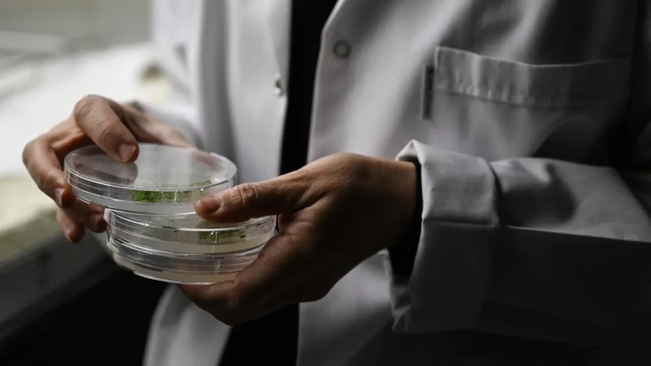 Bilim dünyasını şoke eden keşif: Bu balık 400 yıl yaşayabiliyor ve hâlâ büyümeye devam ediyor