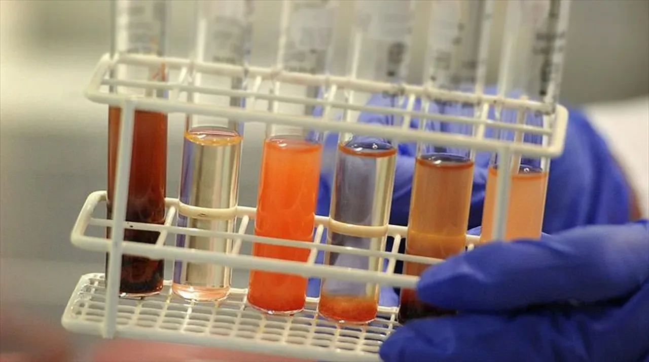 Bilim dünyasını şoke eden keşif: Bu balık 400 yıl yaşayabiliyor ve hâlâ büyümeye devam ediyor