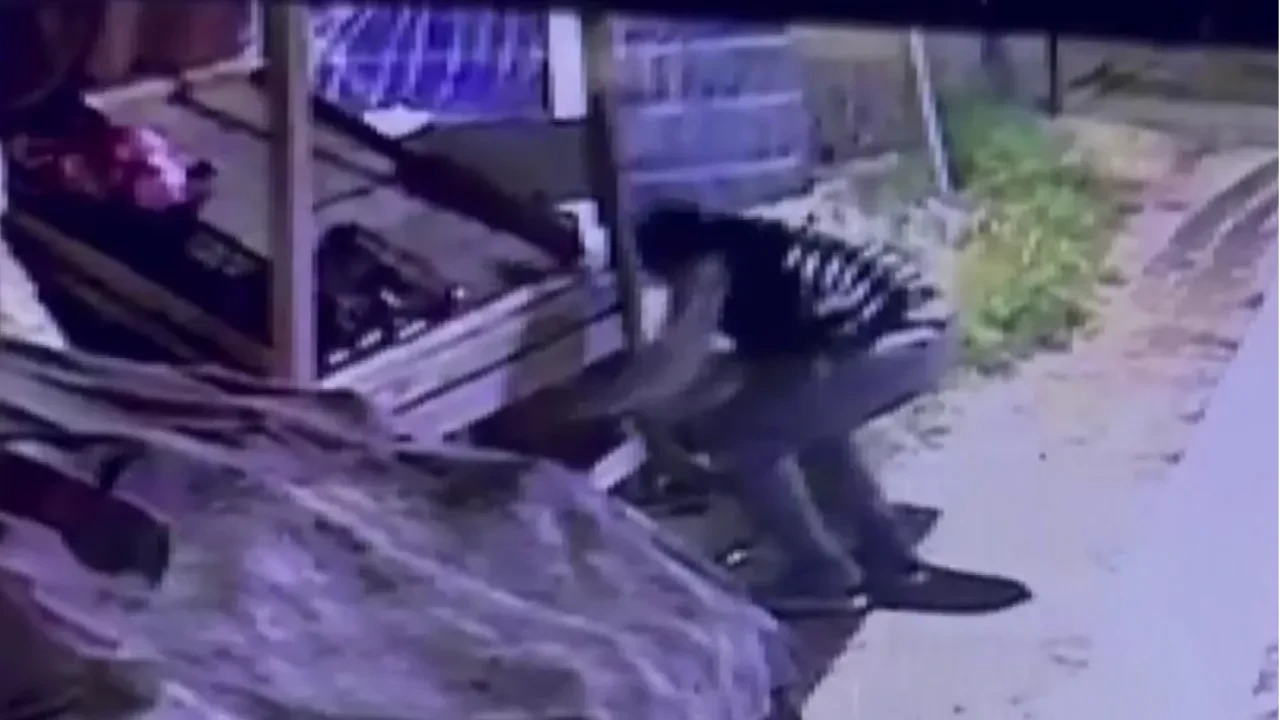 Beğendiği ayakkabıyı çalarken kameralara yakalanan suç makinesi tutuklandı