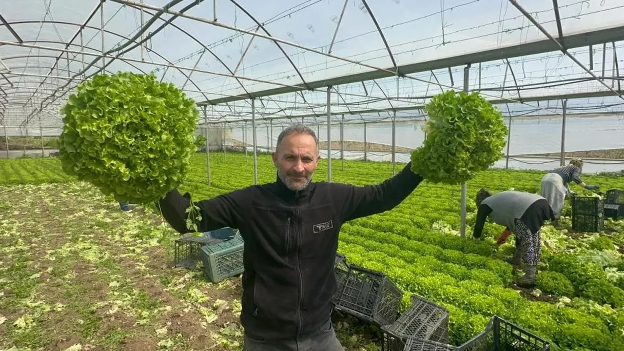 Geçen sene ağlatan kıvırcık bu yıl güldürdü! Fiyatı 30 TL'ye kadar çıktı