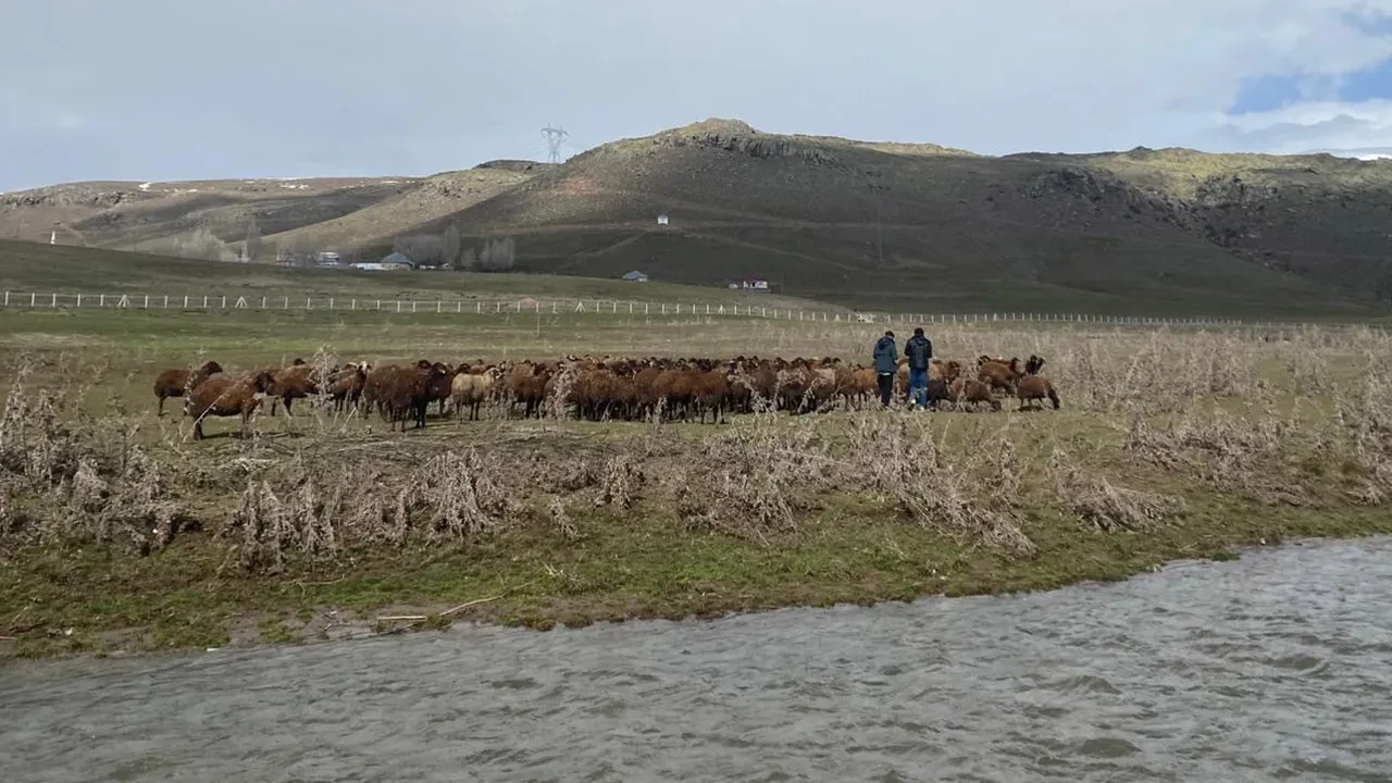 Aylık 120 bin TL maaş veriyorlar ama işçi bulamıyorlar: Sabahtan akşama kadar dağdayız