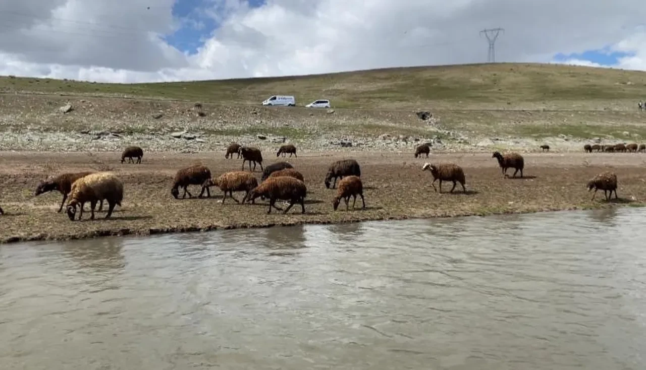 Aylık 120 bin TL maaş veriyorlar ama işçi bulamıyorlar: Sabahtan akşama kadar dağdayız