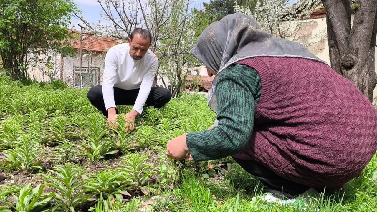 Babası 4 yıl önce bıraktı... Bitmeyen miras! Litresi 5 bin Euro'dan satılıyor