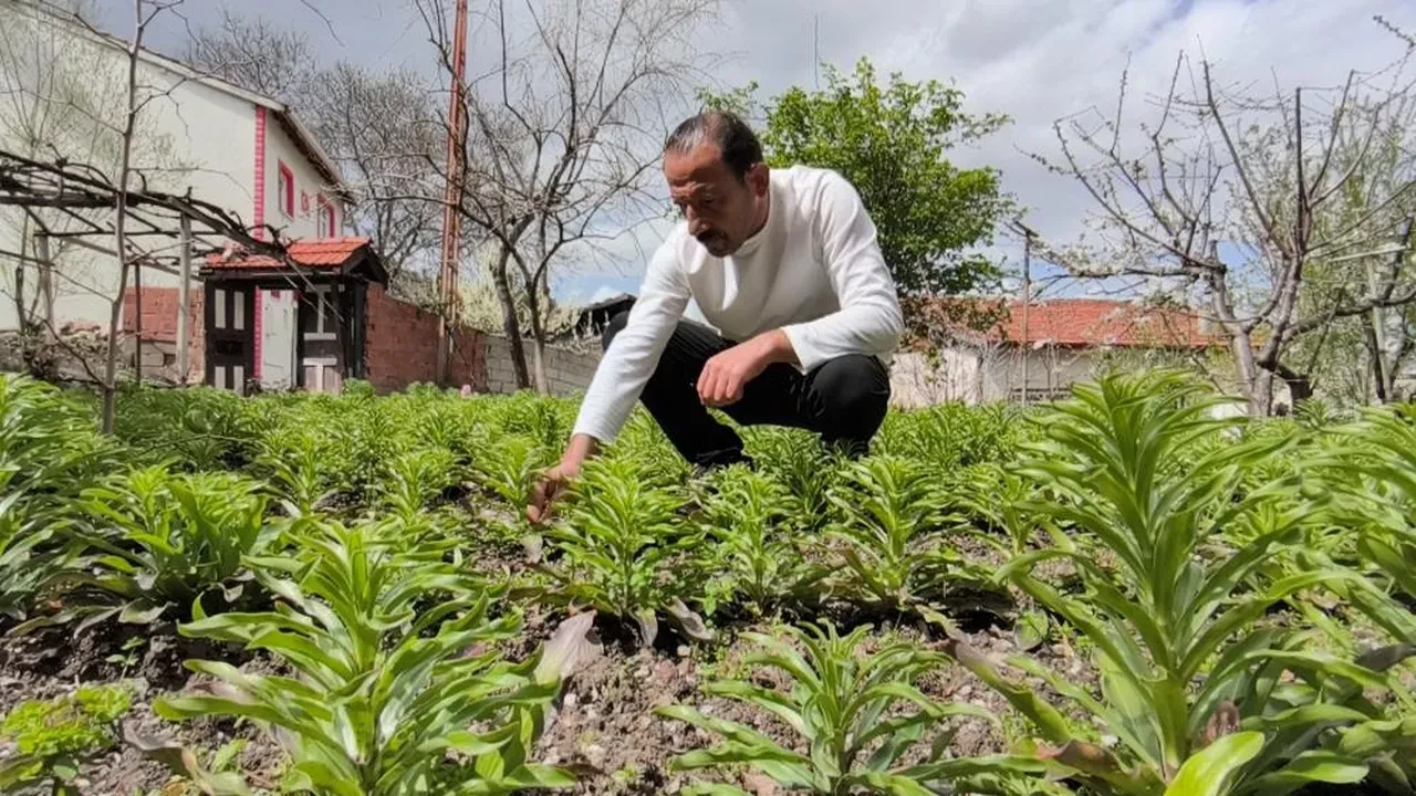 Babası 4 yıl önce bıraktı... Bitmeyen miras! Litresi 5 bin Euro'dan satılıyor