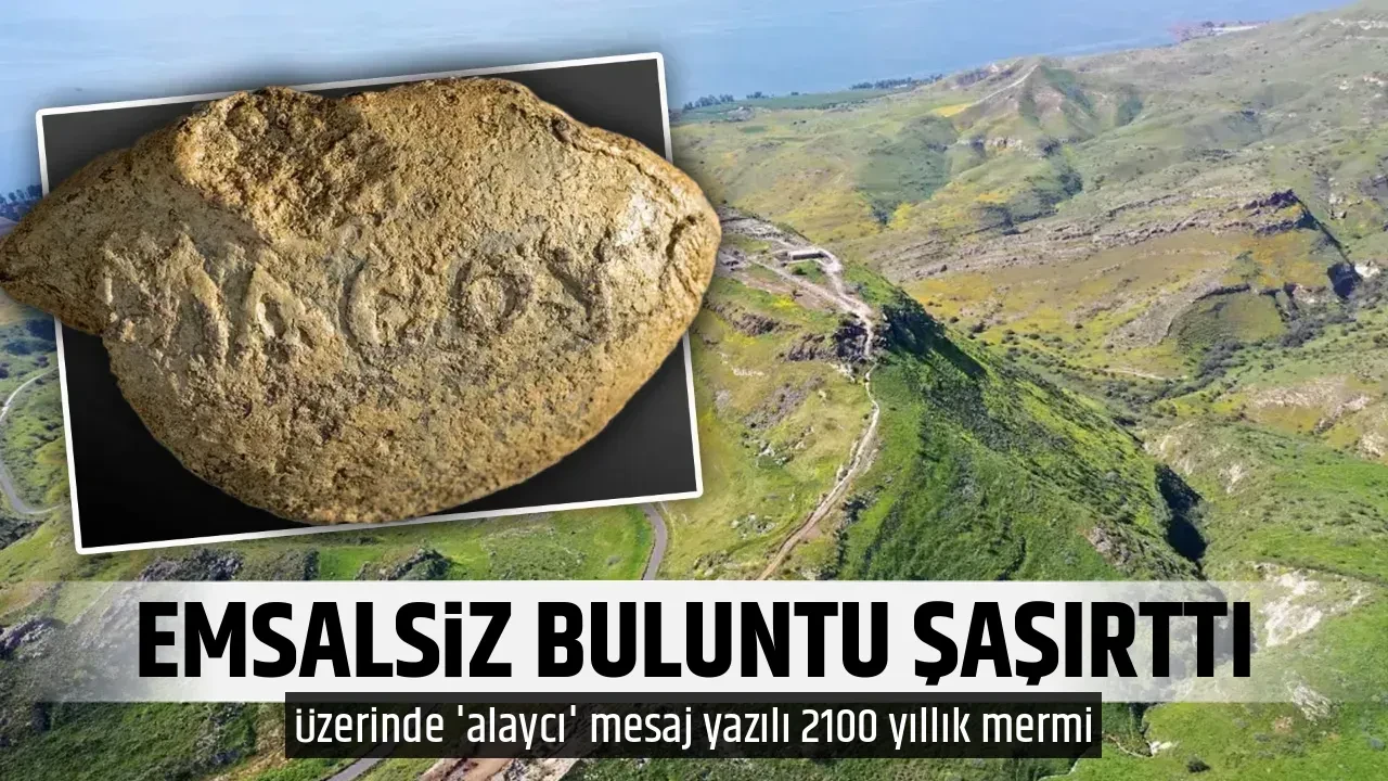 EMSALSİZ BULUNTU ŞAŞIRTTI