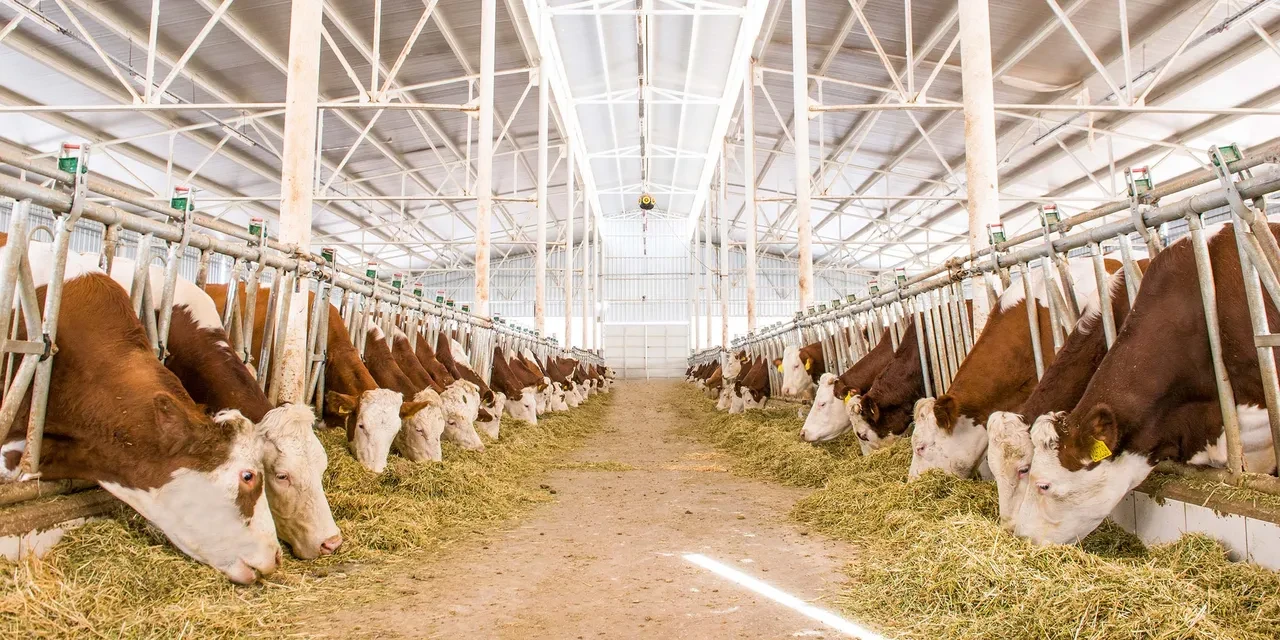 Üniversitelere 20'den fazla yeni program geliyor! YÖK Başkanı Özvar duyurdu: 10 üniversitede faaliyete geçiyor