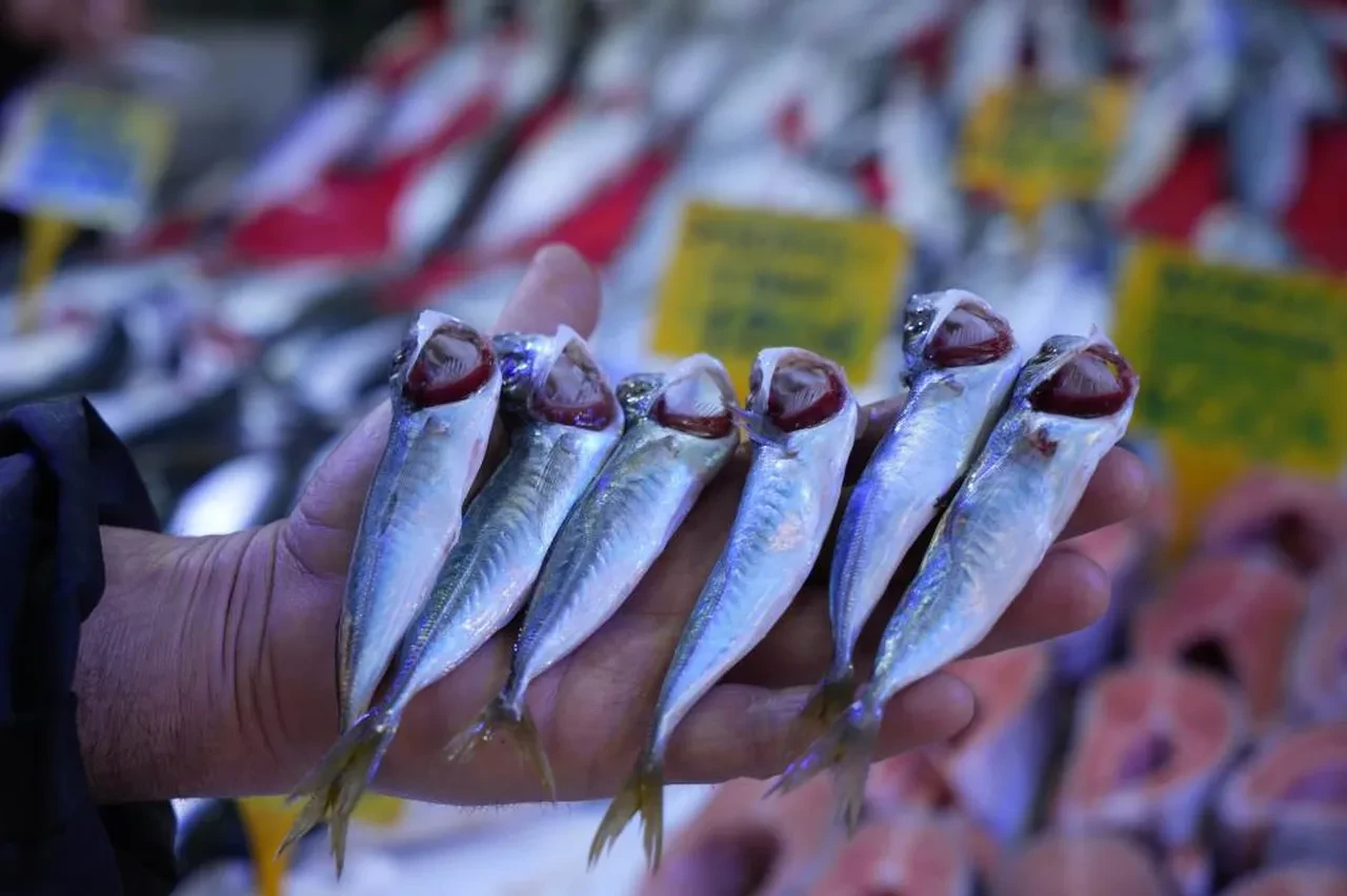 Av yasağının başlamasına sayılı günler var! Kilosu 70 TL'ye düştü 